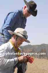 Cowboys Branding Cattle