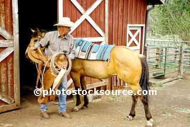 Putting on the Saddle