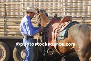 Cowboy Saddling Horse