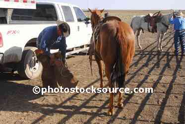 Cowboy Putting on Chaps