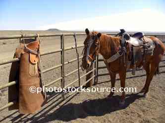 Horse and Rodin Crater