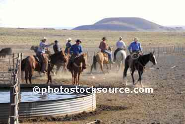 Cowboys on Round Up