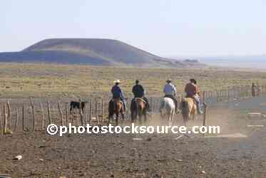 Cowboys on Round Up