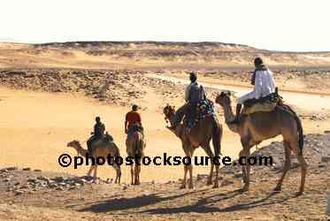 Camel Riders