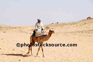 Camel Rider Crossing Desert