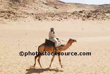 Camel Rider Crossing Desert