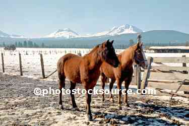 Three Sisters