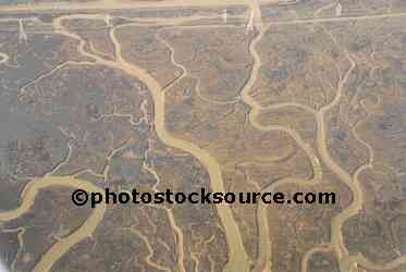 Meandering Rivulets