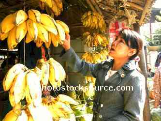 Woman Buying Bananas