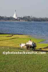 Ox Cart and Pagoda