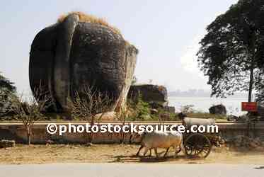 Ox Cart at Mingun Pagoda