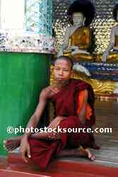 Sitting Monk