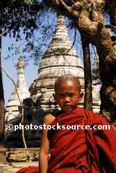 Young Monk