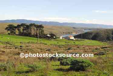 Point Reyes Farm