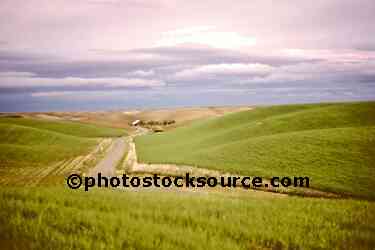 Country Road