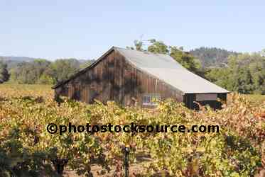 Winery Barn