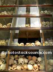 Killing Fields Victim's Skulls
