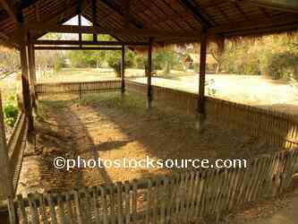 Mass Grave
