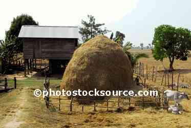 Rural Hay Stack