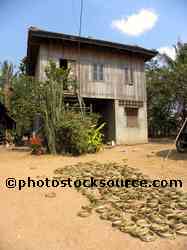 House and Yard