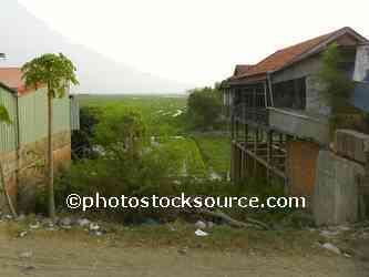 Morning Glory Farm