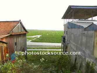 Morning Glory Farm