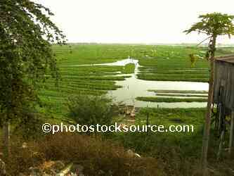 Morning Glory Farm