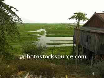 Morning Glory Farm