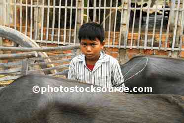 Boy with Water Buffalo