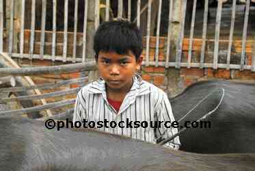 Boy with Water Buffalo