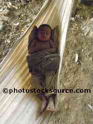 Baby in Hammock