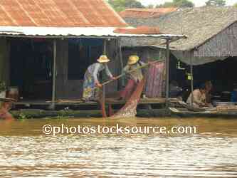 Women Washing Fish