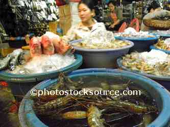 Giant Shrimp in Market
