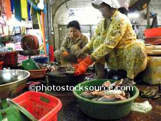 Woman Chopping Fish