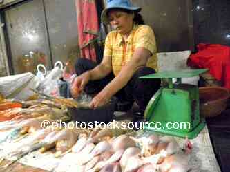Chicken Seller