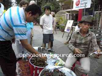 Bug Seller