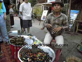 Bug Seller
