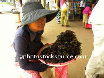 Woman Selling Turantullas