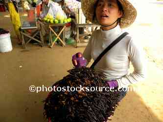 Woman Selling Turantullas