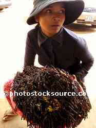 Woman Selling Turantullas