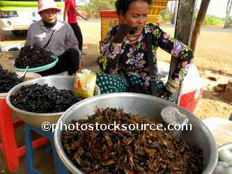 Woman Selling Bugs