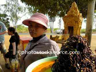 Woman Selling Turantullas