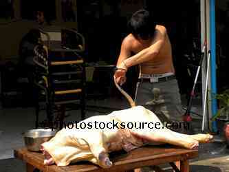 Man Butchering Pig