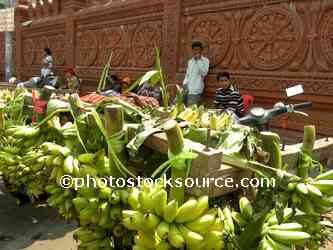Banana Sellers