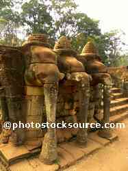 Three Headed Elephant