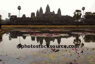 Angkor Wat Lotus Ponds