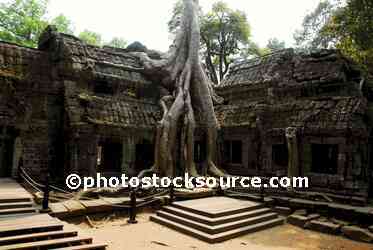 Temple Under Tree Roots