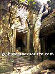 Ta Prohm Temple