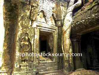 Ta Prohm Temple