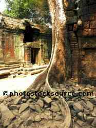 Ta Prohm Temple
